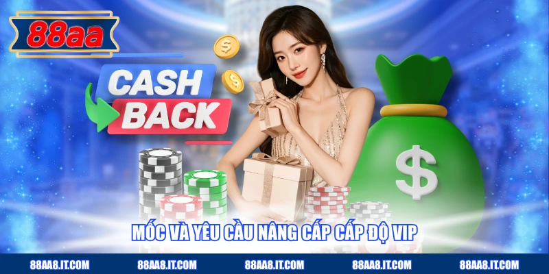 Mốc và yêu cầu nâng cấp cấp độ VIP